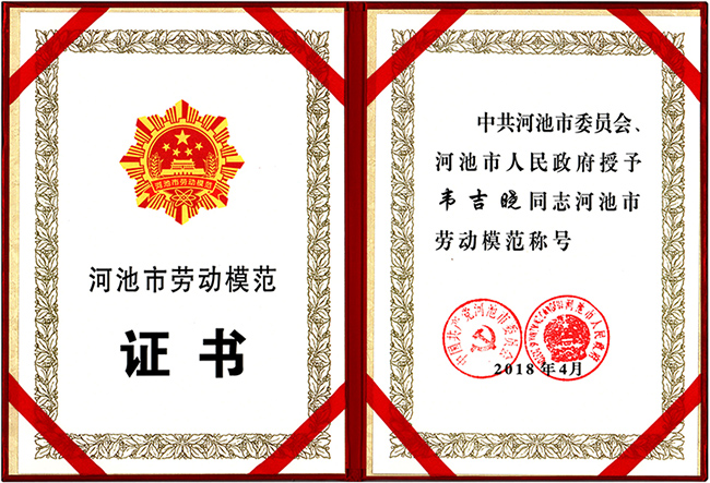 河池市勞動(dòng)模范：韋吉曉.jpg