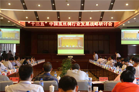 中國繭絲綢行業(yè)發(fā)展戰略研討會(huì )1.jpg